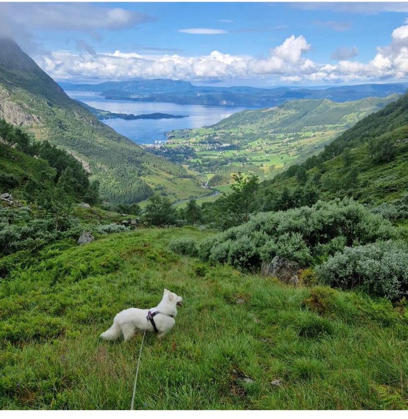 Rosendal Hyttetun Exteriér fotografie
