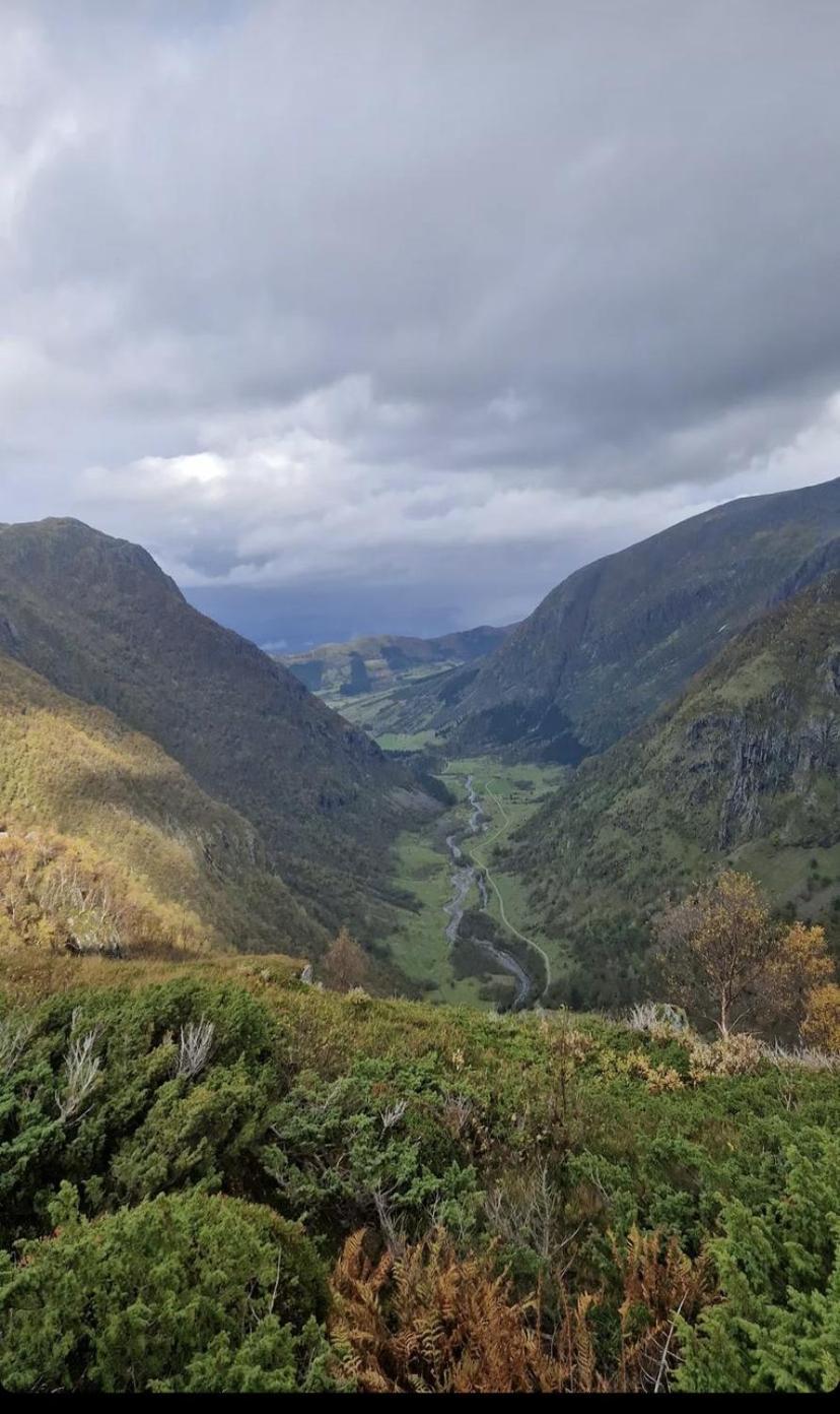 Rosendal Hyttetun Exteriér fotografie